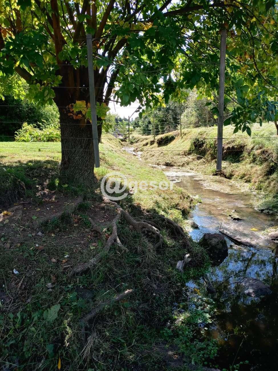 Image2